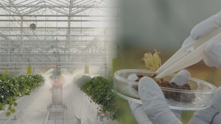 "농업을 첨단산업으로"…경북 '스마트농업 혁명' 추진