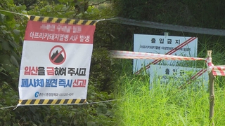 장마 본격화…ASF 감염 <em class='find'멧돼지</em 매몰지 관리 '비상'