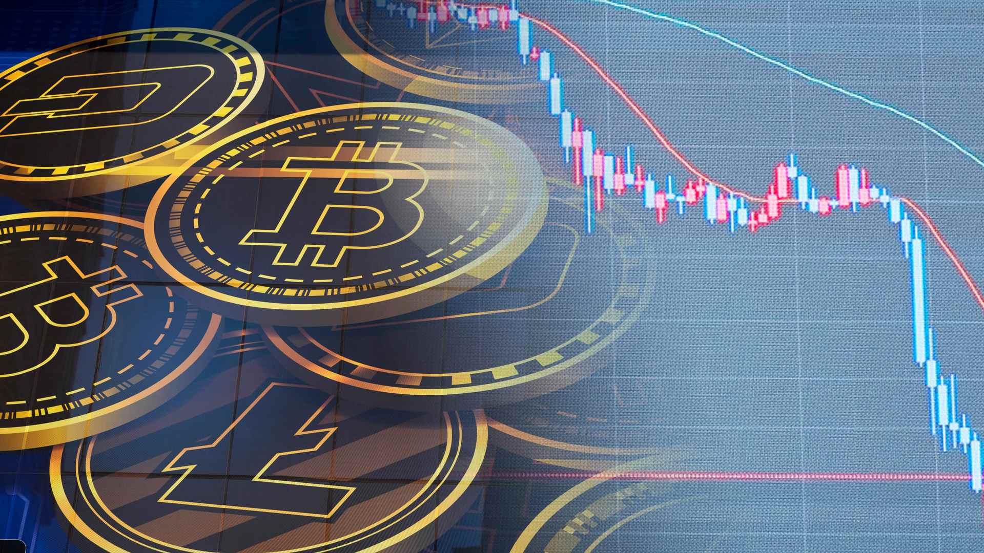 뉴스 | 통합검색 | 연합뉴스TV