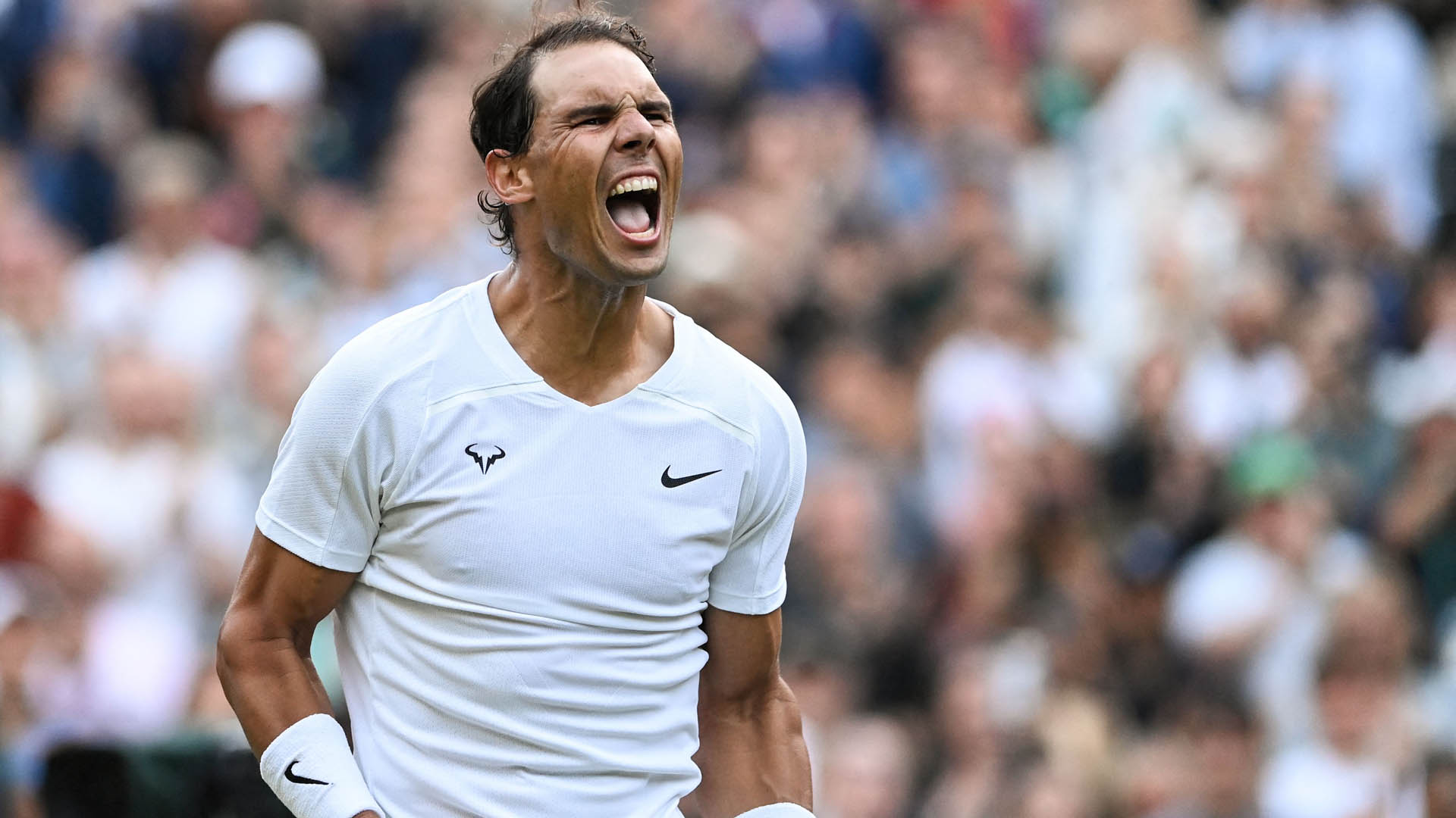 '복부 부상에도' <em class='find'온라인카지노 불법</em, 윔블던 4강…"포기하기 싫었다"