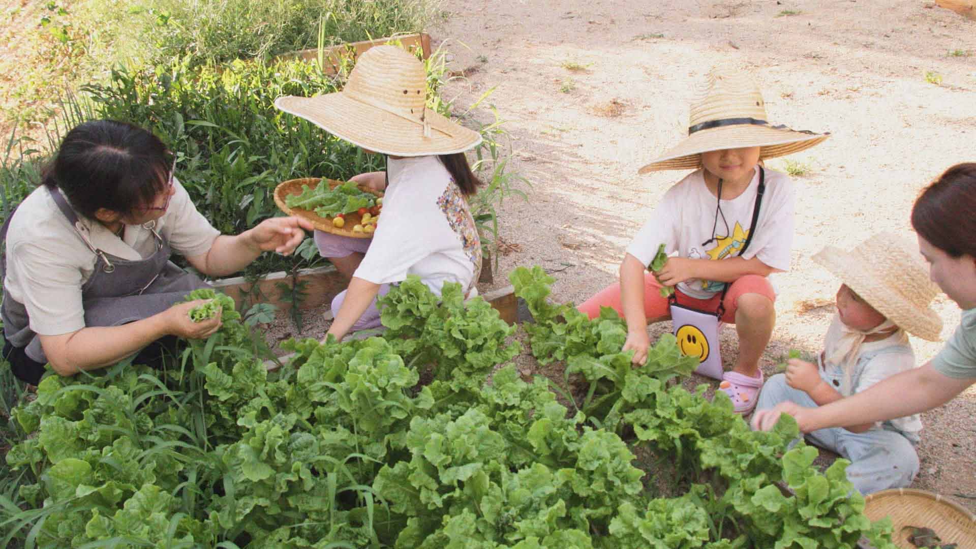 코로나19 걱정 '뚝'…"농촌으로 힐링 여행"