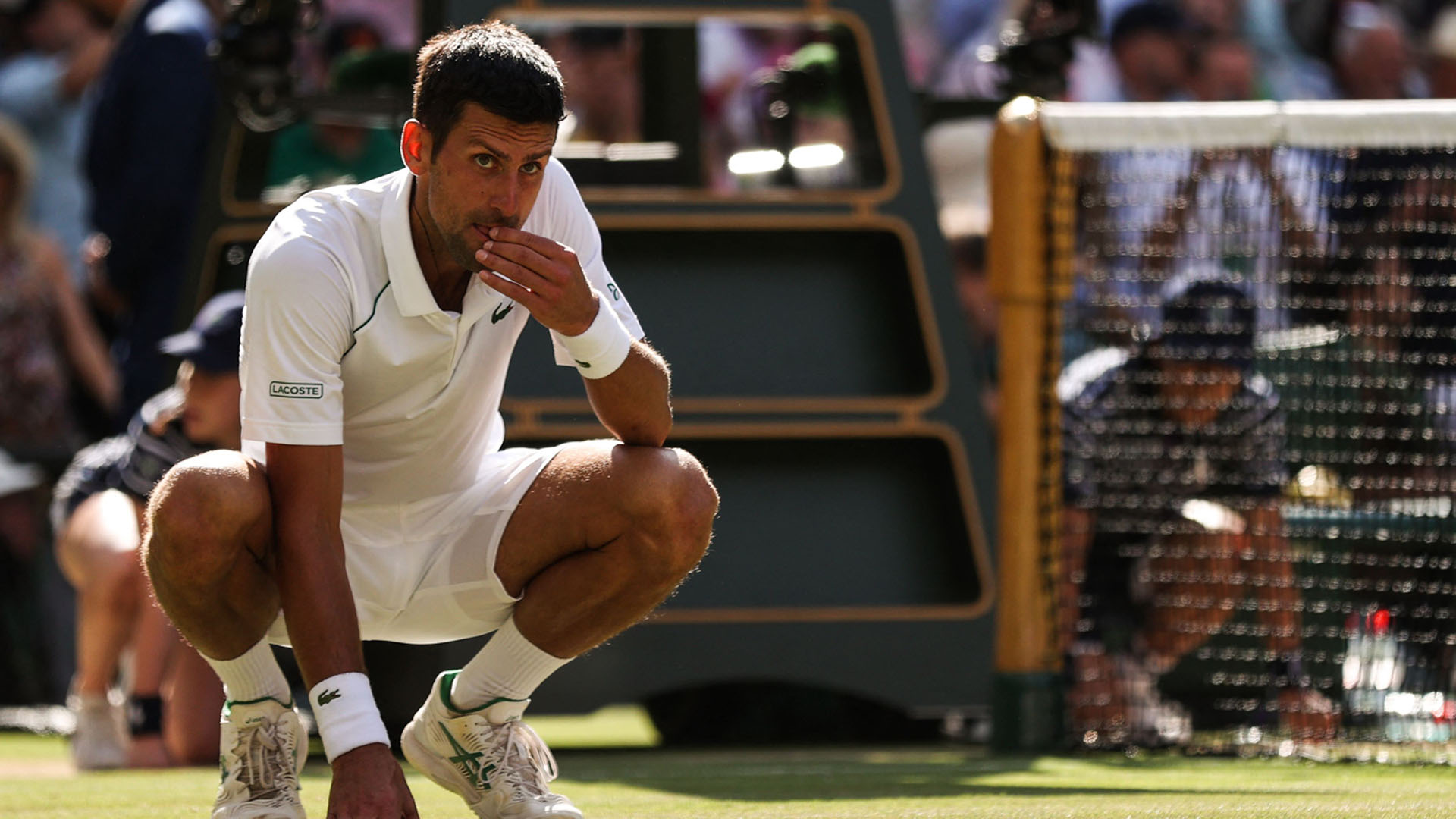 우승 상품은 잔디 시식?…조코비치 온라인카지노 유니벳 4연패