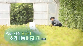 [하모니] 산골 마을 똑순이 수경 씨의 여름나기 - 1부