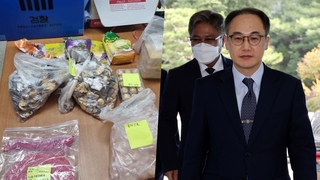 "마약청정국 되찾겠다"…4개 권역에 검찰 특별수사팀