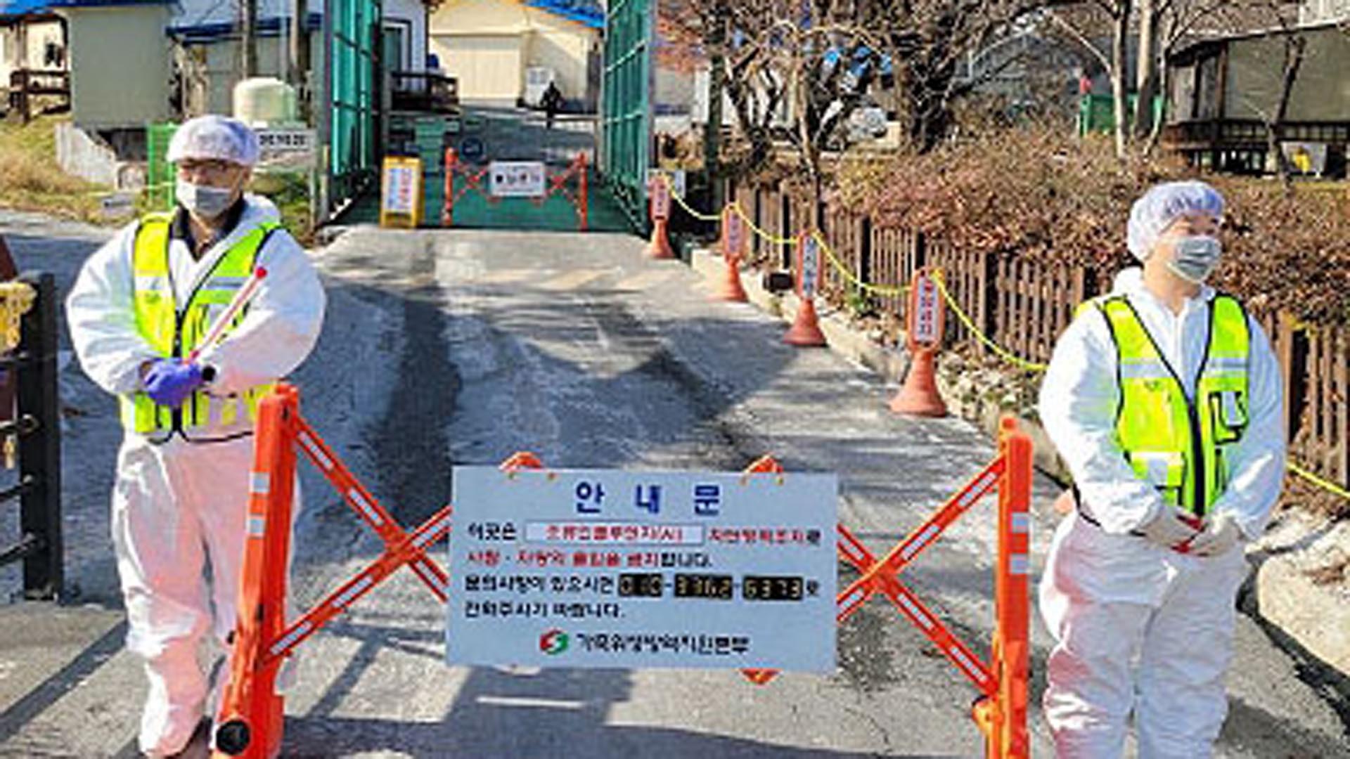 <em class='find'산란계</em 농장서 잇단 온라인 카지노 사이트…불안심리에 달걀 가격도 '들썩'