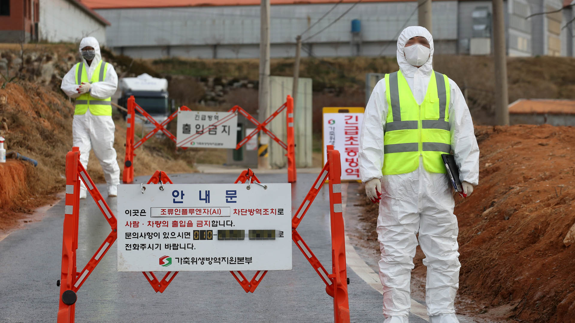 함평 <em class='find'산란계</em 농장서 온라인 카지노 사이트 AI…전남지역 속출