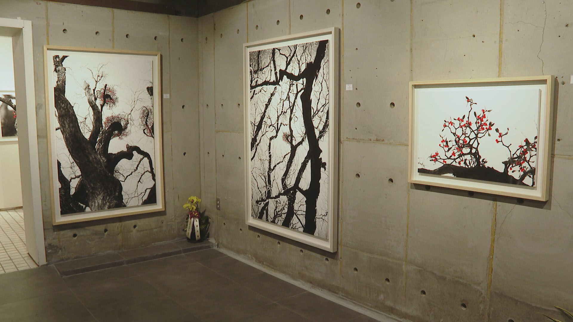 정상기 사진작가, 와우갤러리서 열번째 초대전