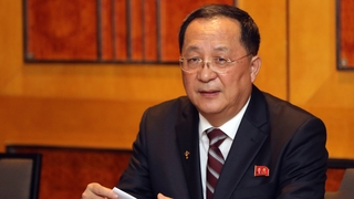 국정원 "북 리용호, 숙청 확인…처형은 확인 안돼"