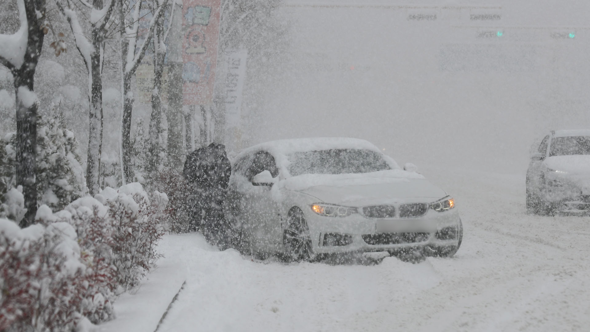 [일요와이드] 강원 영동 60㎝ 폭설…내일부터 다시 강추위
