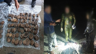 바다에서도 민생범죄 비상…단속 나선 해양경찰