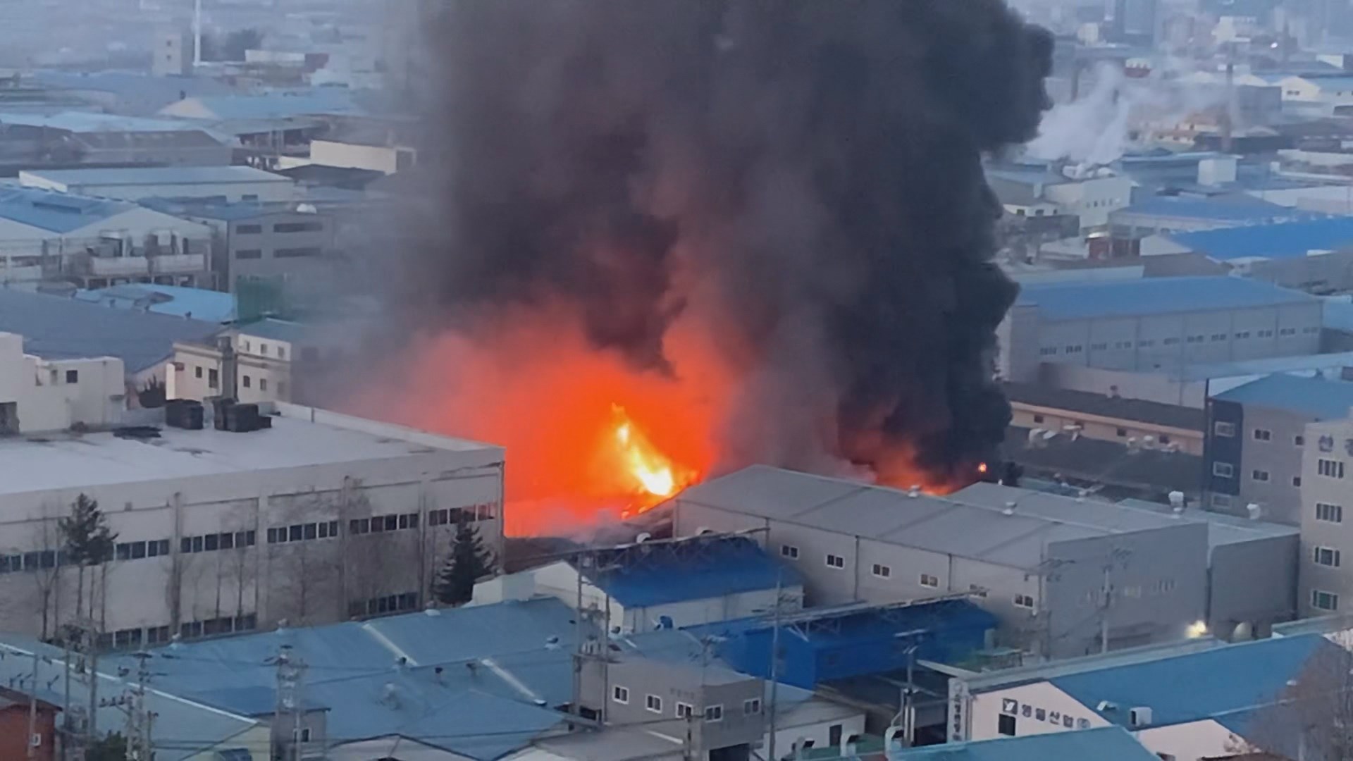대구 성서공단 <em class='find'온라인카지노 벳위즈</em 화재…4시간여 만 완진