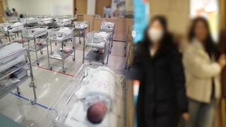 청년여성 45% '출산의향 없다'…청년 절반이상 '부모와 산다'