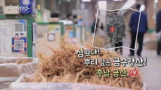 [풍경여지도] 심봤다! 뿌리 깊은 금수강산! - 충남 금산 1부