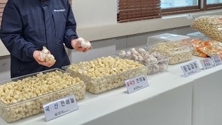 물가 안정용 물량까지 악용…중국산 마늘 국산으로 둔갑