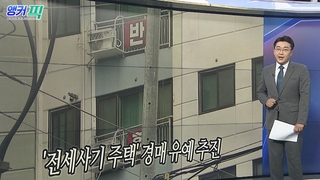 [오늘의 앵커픽] '전세사기 주택' 경매 유예 추진 外