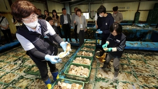 "방사능 철통검사"…식약처, 일본 수산물 우려 불식 나서