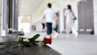 "당신을 기억합니다"…현충일 추념식 전국서 열려