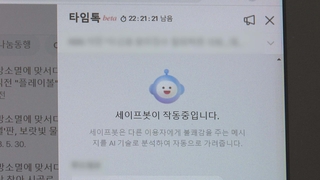 댓글 바꾼 네이버·다음…정치권 의식·풍선효과 지적도