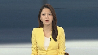 [뉴스포커스] '50억 클럽' 박영수 전 특검 구속 기로…8억 수수 혐의