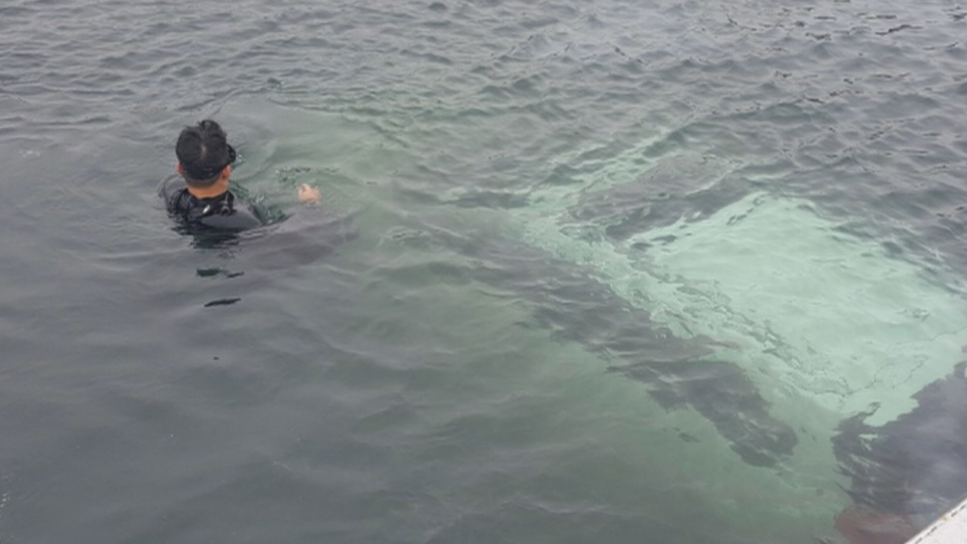 운전연습하던 SUV <em class='find'온라인카지노 바로가기</em 돌진…60대 남녀 탑승객 무사 탈출