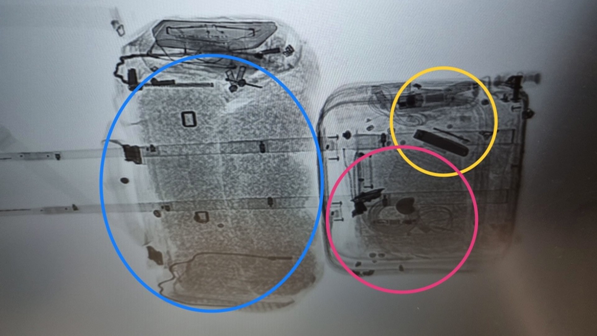 1만명분 대마초 밀반입 한국계 미국인 부부 검거