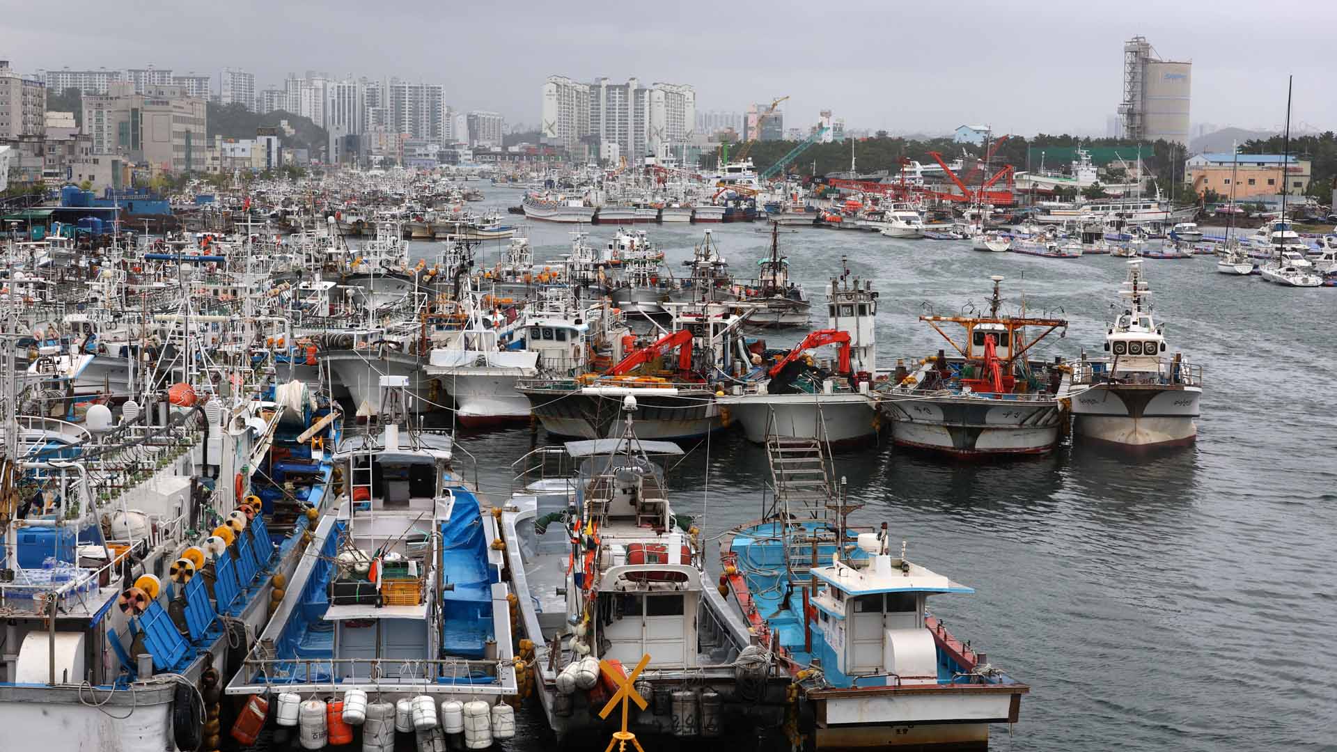 태풍 북상에 온라인카지노 순위 긴장…만조기 겹쳐 침수·폭풍해일 우려