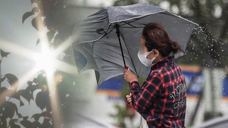 태풍 지나간 뒤 30도 안팎 더위…당분간 내륙 소나기
