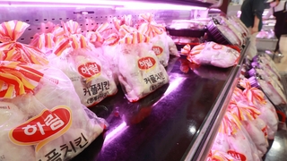 수해·폭염에 줄어든 닭고기 공급…"당분간 오름세"