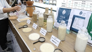 밀 대체용 개발된 가루쌀…수요 확보 '큰 산'