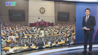 [오늘의 앵커픽] 이재명 체포안·총리 해임안 내일 동시 표결 外