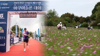 도심 속 달리고, 꽃구경도…"가을 정취 즐겨요"