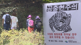 실족·산짐승…'위험천만' 가을산행 사고 주의보
