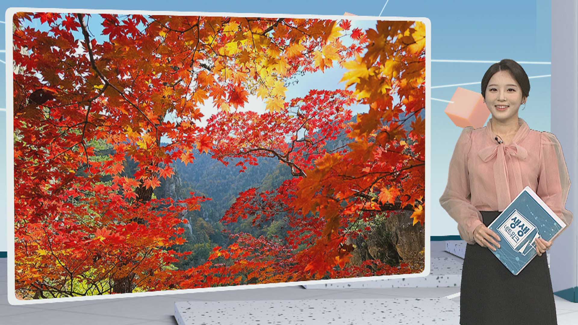 [생생갤러리] 단풍으로 곱게 물든 설악산 국립공원 外