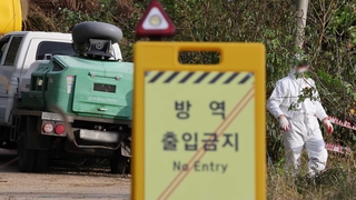 럼피스킨병 무더기 확진…"이동중지 연장·백신 추가도입"