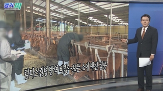 [오늘의 앵커픽] 럼피스킨병 방역 비상…모든 소에 백신 접종 外