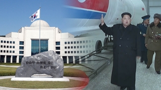 국정원 "김정은, 팔레스타인 포괄지원 지시…러에 포탄 100만발 반출"