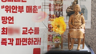 대학 교수 "위안부는 자발적" 발언 논란…이달 인사위 예정