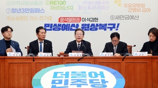 민주 '현실론'에 병립형 회귀?…비례대표 셈법 고심