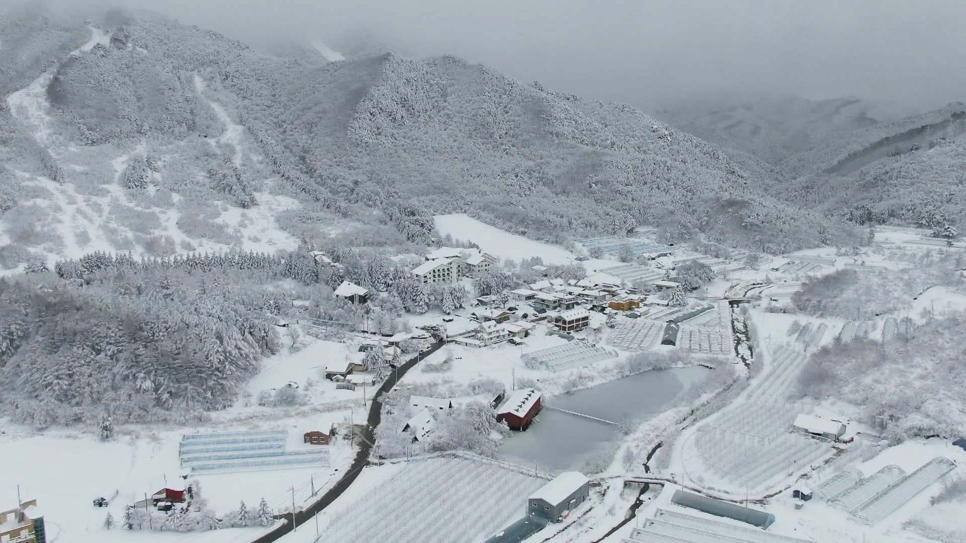 겨울왕국 된 온라인카지노 유니88 산지…30㎝ 폭설에 곳곳 불편