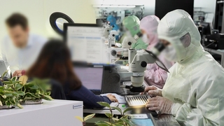 직장 소득 양극화 여전…대·중소기업 임금 격차 2배