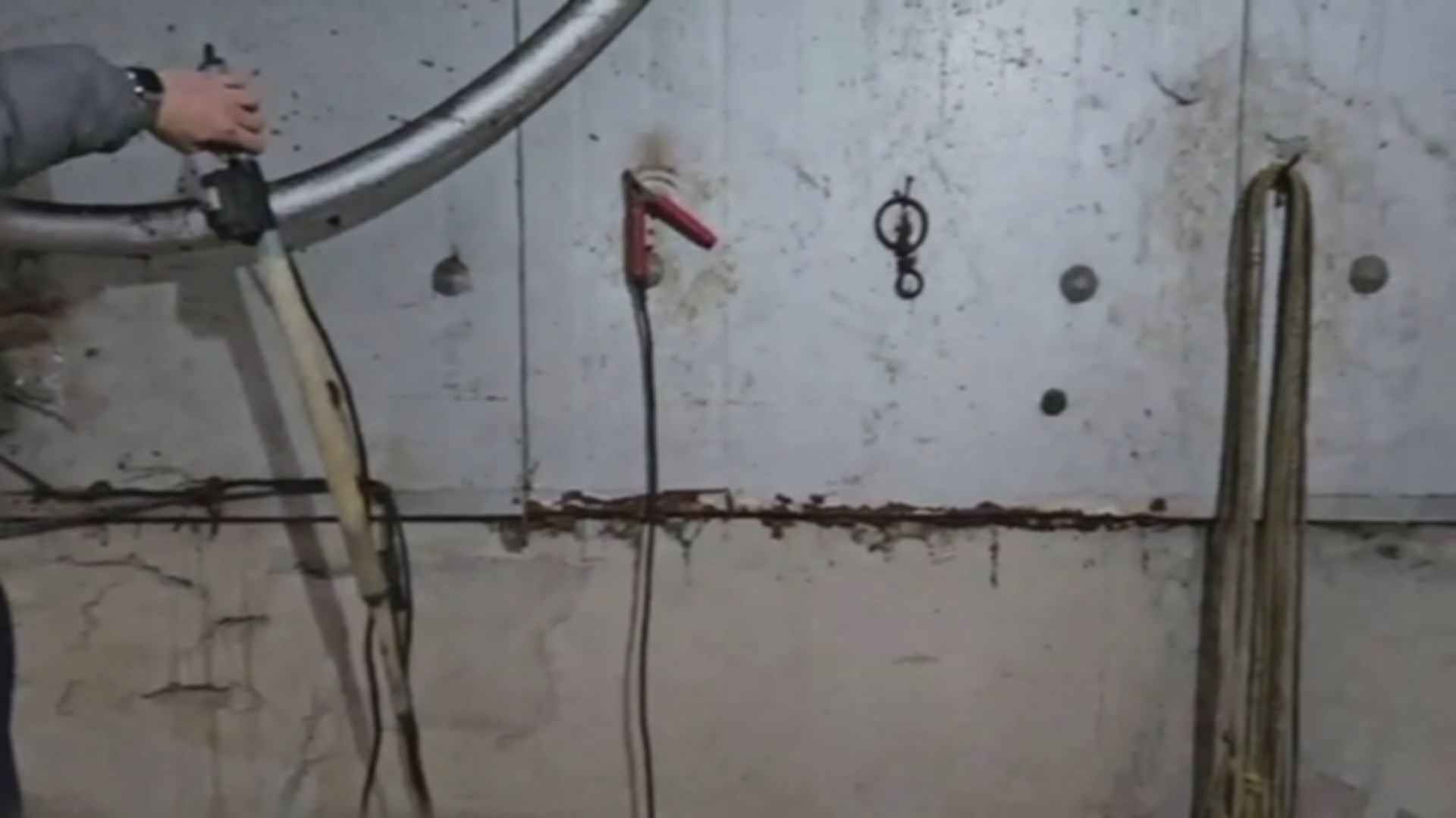 의정부서 '전기 쇠꼬챙이'로 개 불법 마이다스 온라인카지노 유니벳 현장 적발