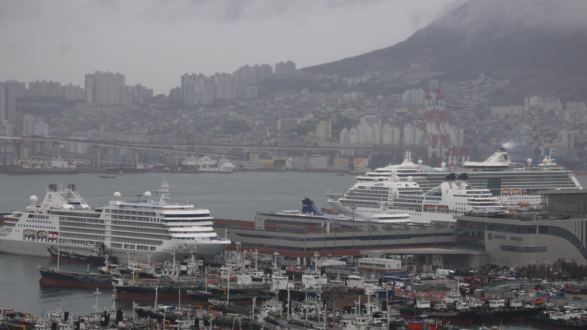 온라인카지노 순위 온카판항에 크루즈선 4척 동시 기항…"지역경제 활성화 기대"