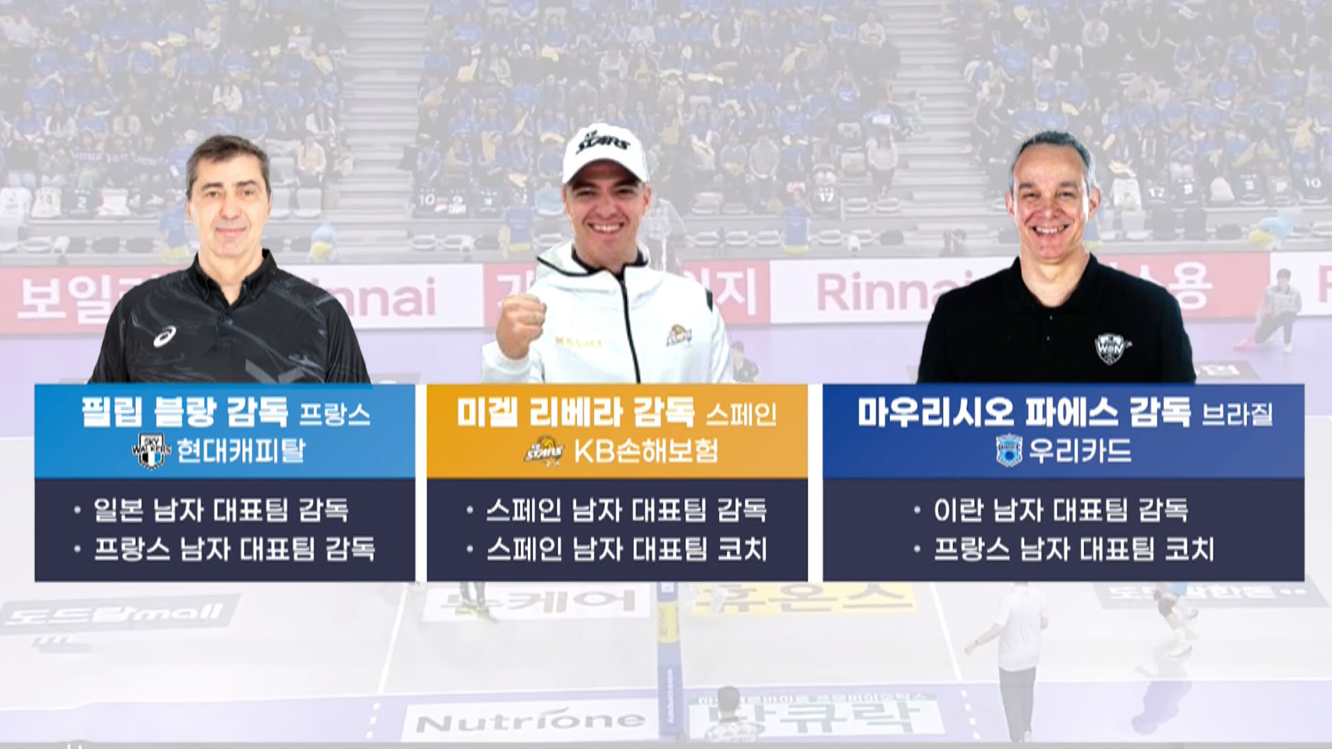 7팀 중 5팀…남자 배구 외국인 온라인카지노 캡틴 '전성시대'