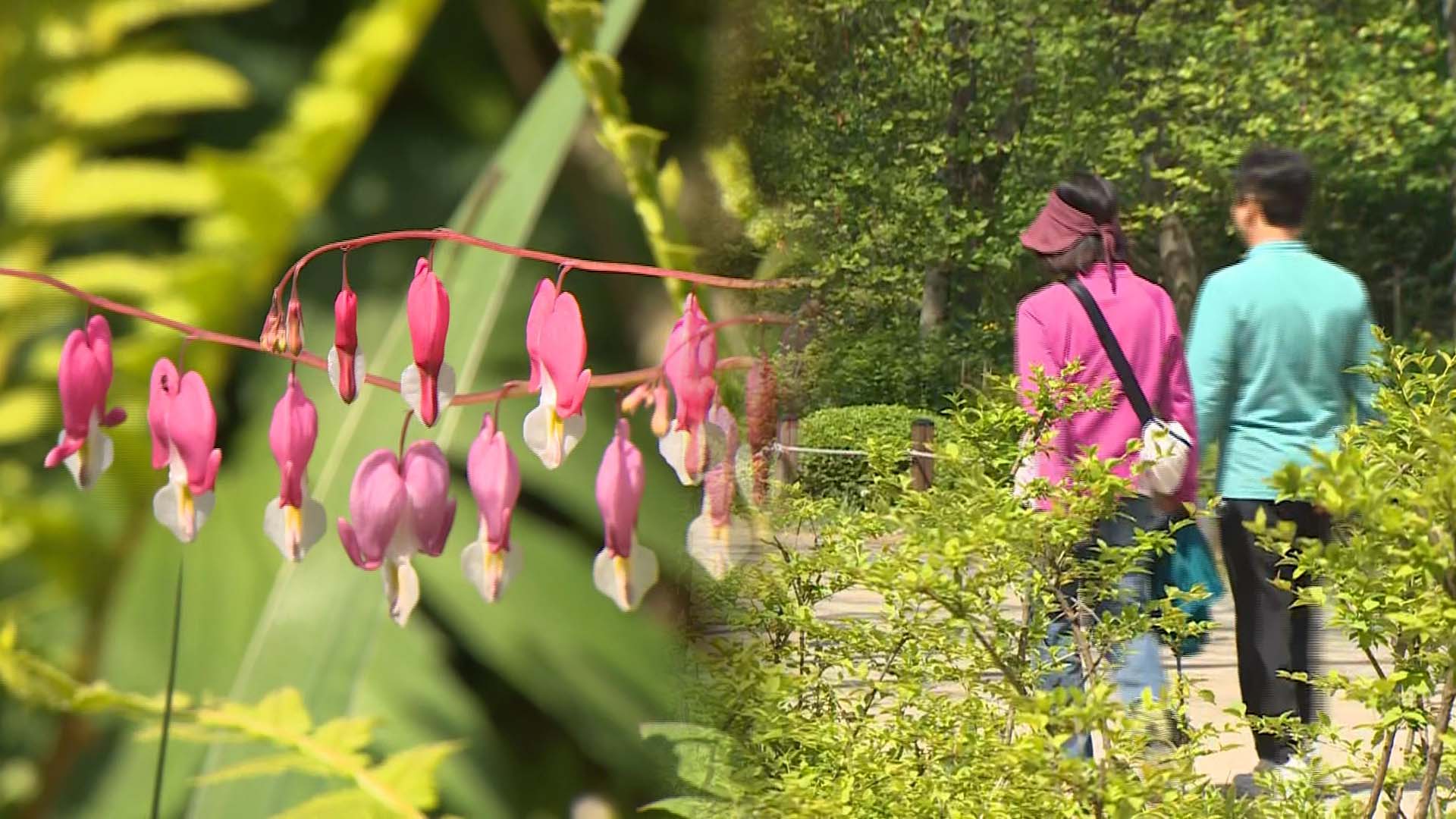 '비밀의 숲' 관악온라인카지노 롤링원…다음 달 8일까지 개방