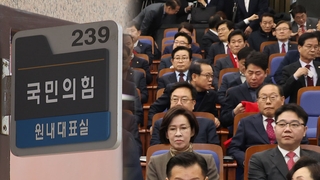'이철규 추대론'에 눈치싸움…여, 원내대표 경선 연기