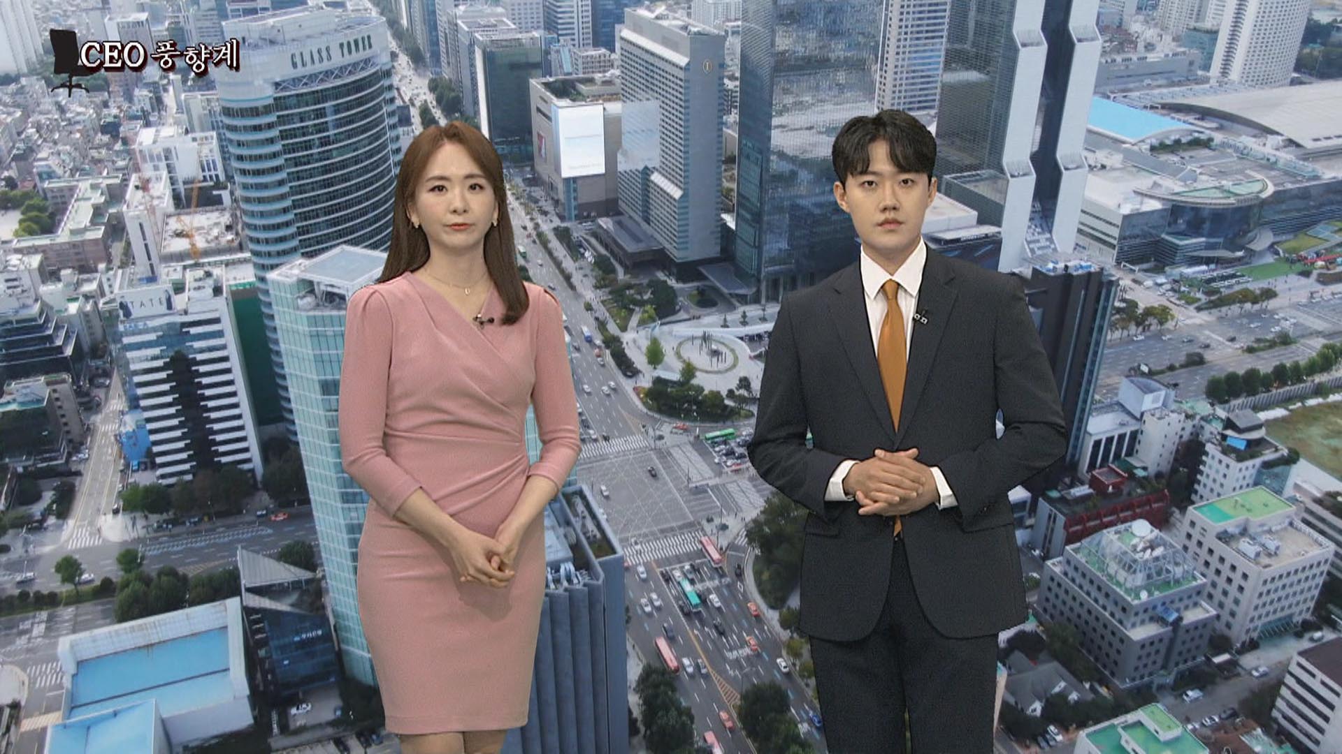 [CEO풍향계] '이혼 소송' 몰린 최태원…합병 잰걸음 조원태