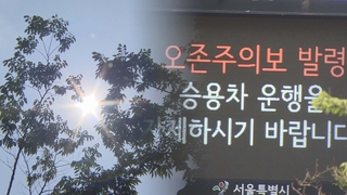 서울 오존주의보 더 빠르고 잦아져…"유해물질 저감 강화"