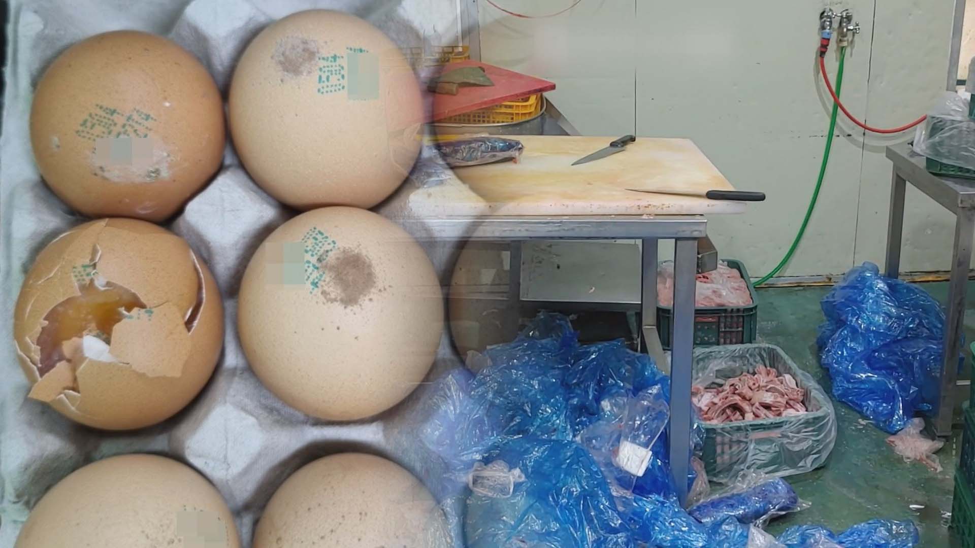 구멍 나고 깨진 마틴게일배팅로 케이크 만들어…비위생 제과업체 적발