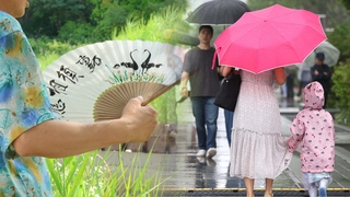 광주·정선 36.2도 폭염…주말 비 내리며 완화
