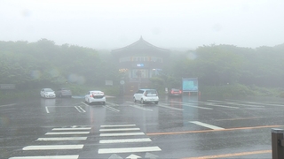 올여름 장마, 더 세게 퍼붓는다…소강 땐 밤낮 찜통